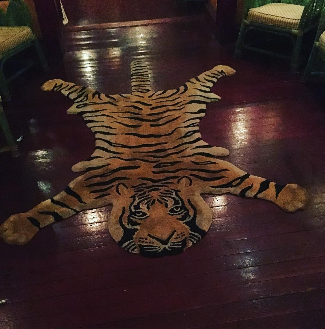 I thought I saw a puddy tat