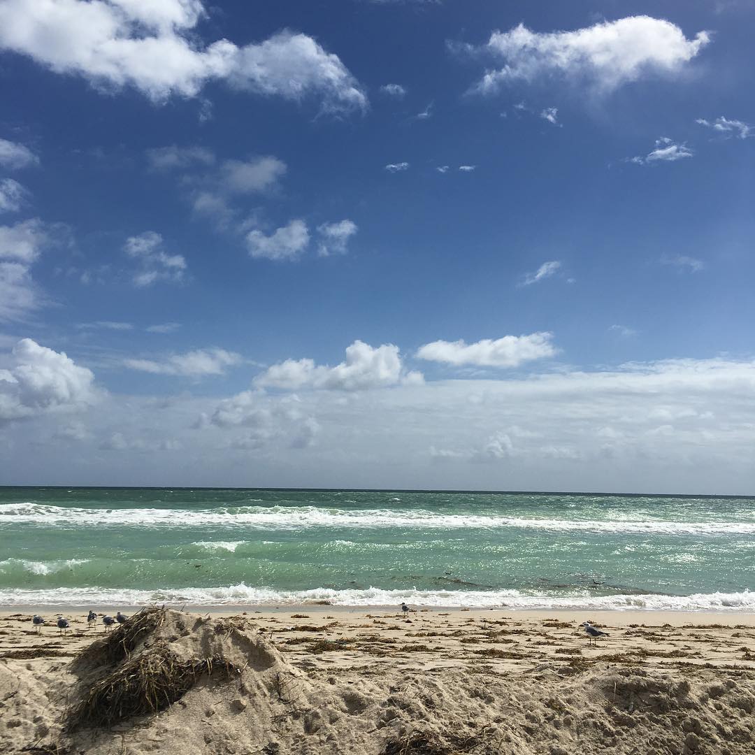 Well this certainly beats working