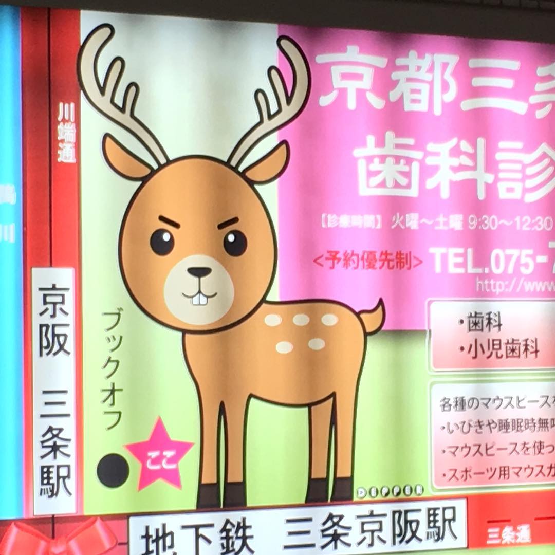 Is it just me or does this animal look angry? 🦌🇯🇵