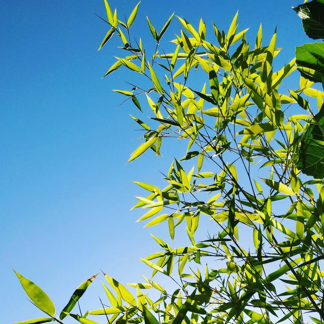 Blues skies and sunshine