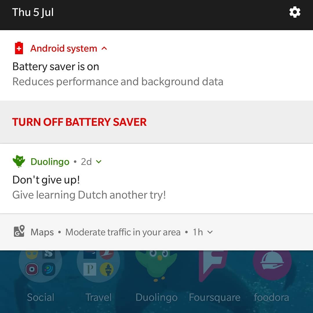 Duo giving me grief because I haven't done my Dutch homework.