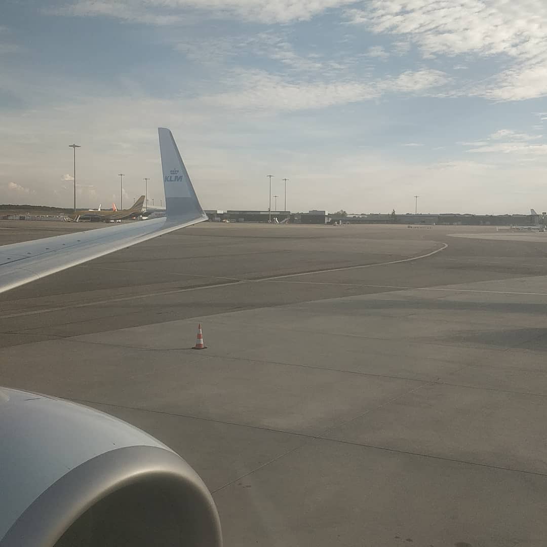 LYS > AMS