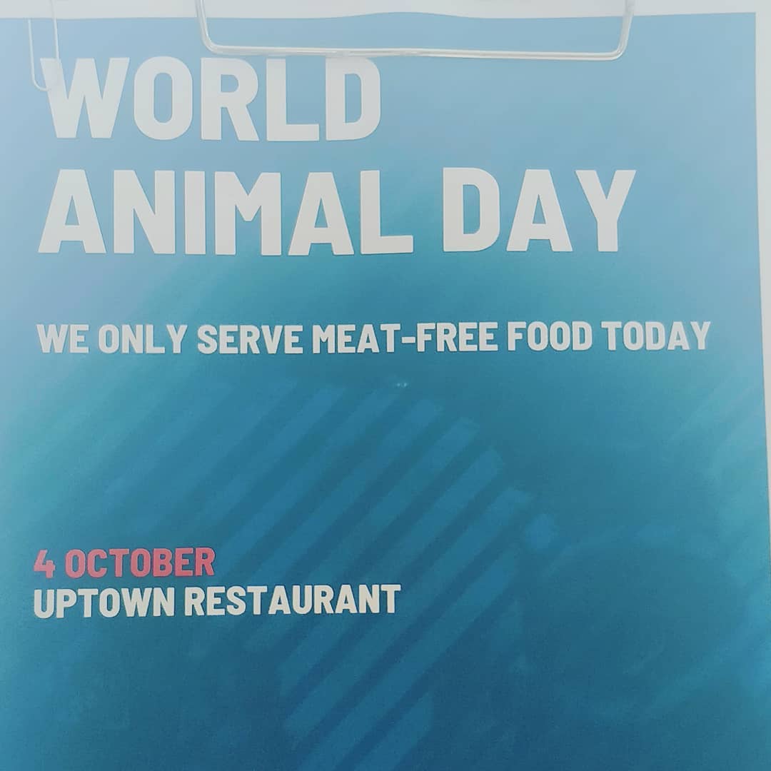 #worldanimalday