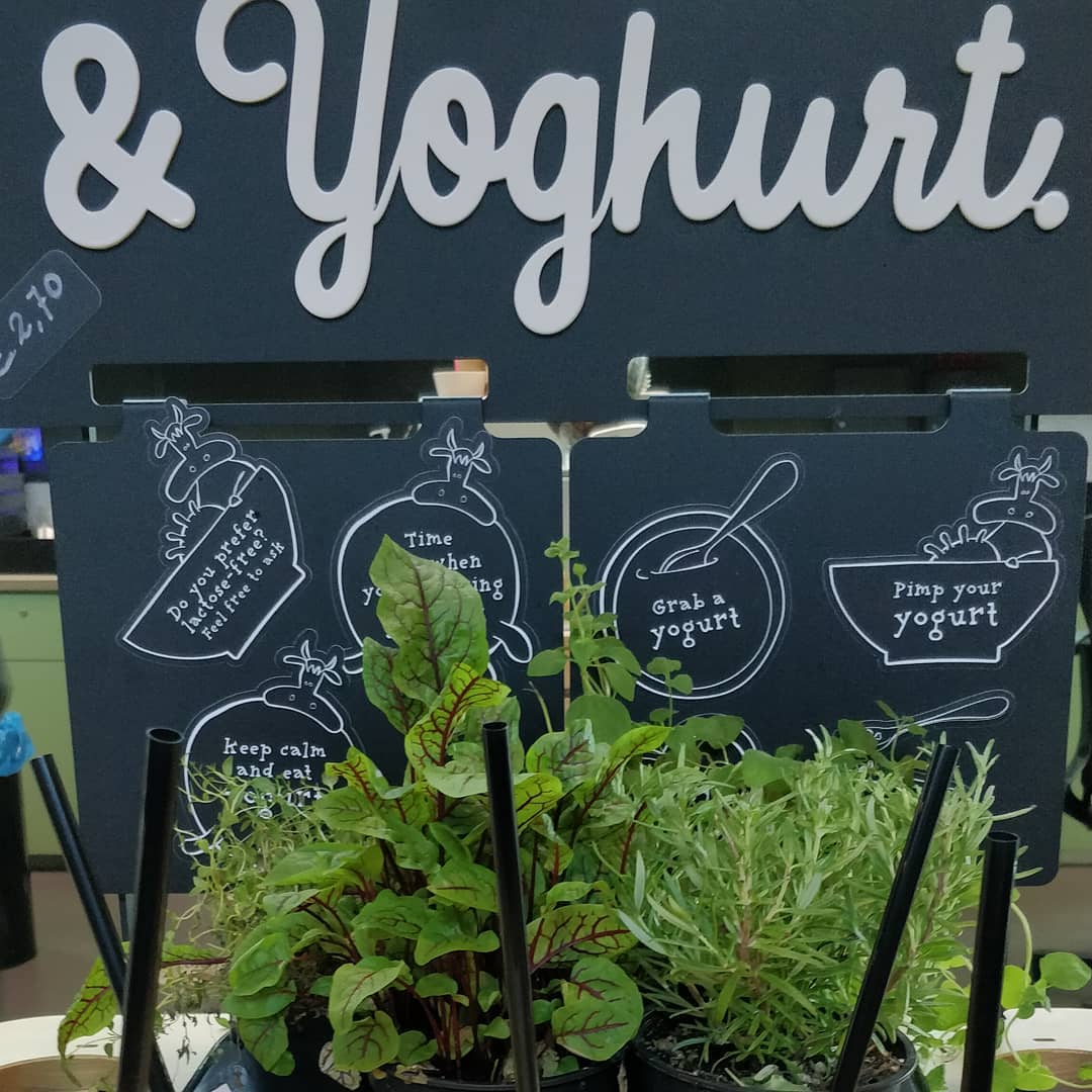 Salad and yoghurt. Lekker. Niet.