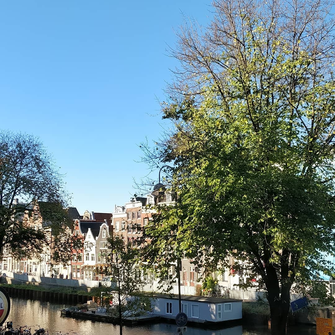 Beautiful blue skies and sunshine this morning.