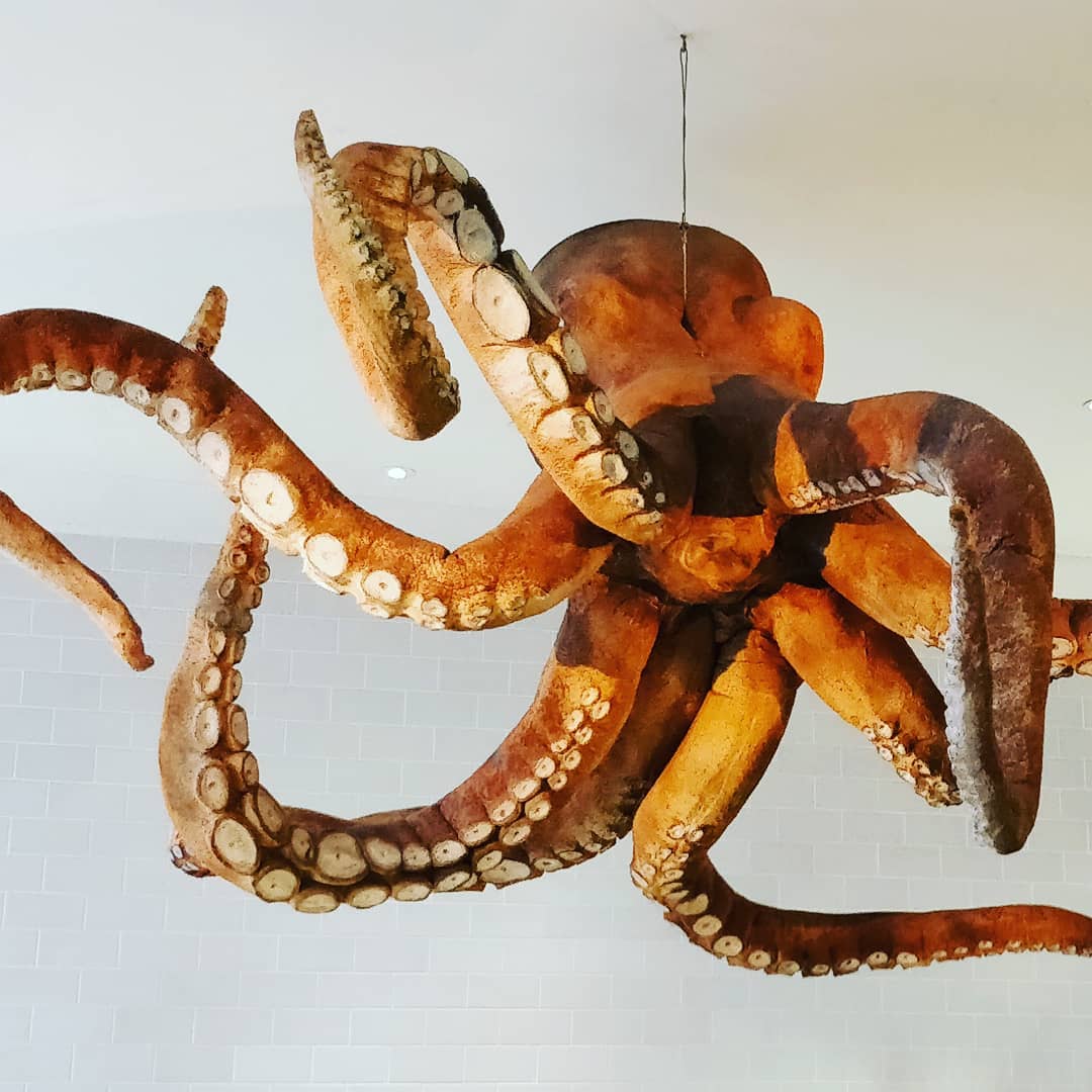 Finally. After a week in Lisboa we had lunch with an octopus.