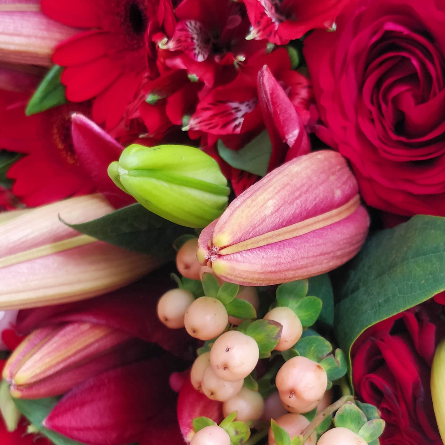 Thanks for the mooi bos bloemen @jonmreed @ellie_reed_london @thereedkid and of course @spyrothebengal 😍🌹🌷🌼🌻💐