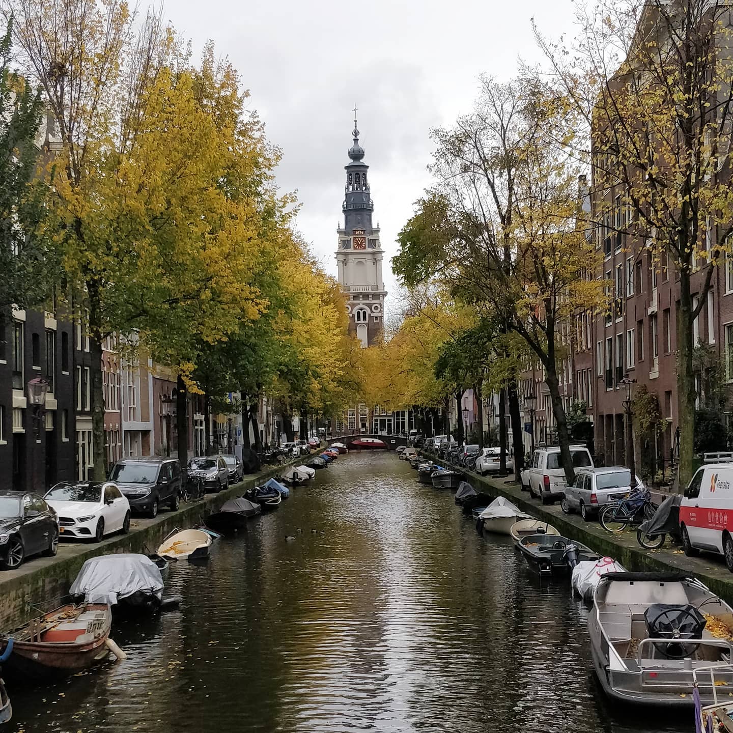 Autumn leaves in Amsterdam