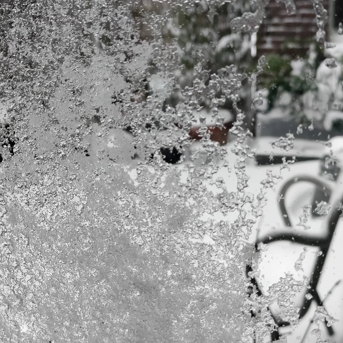 Het sneeuwt