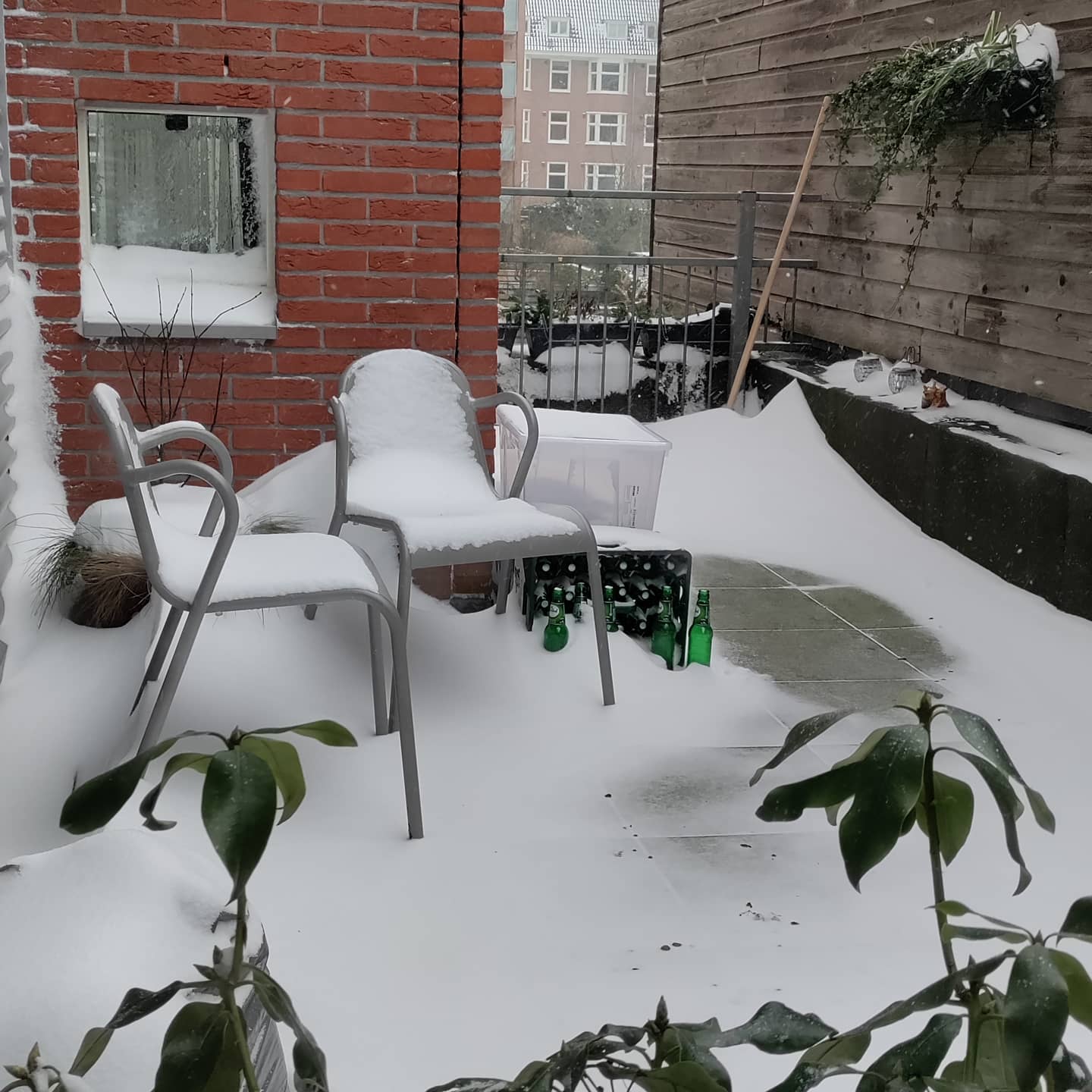 I think the beer is cold enough.