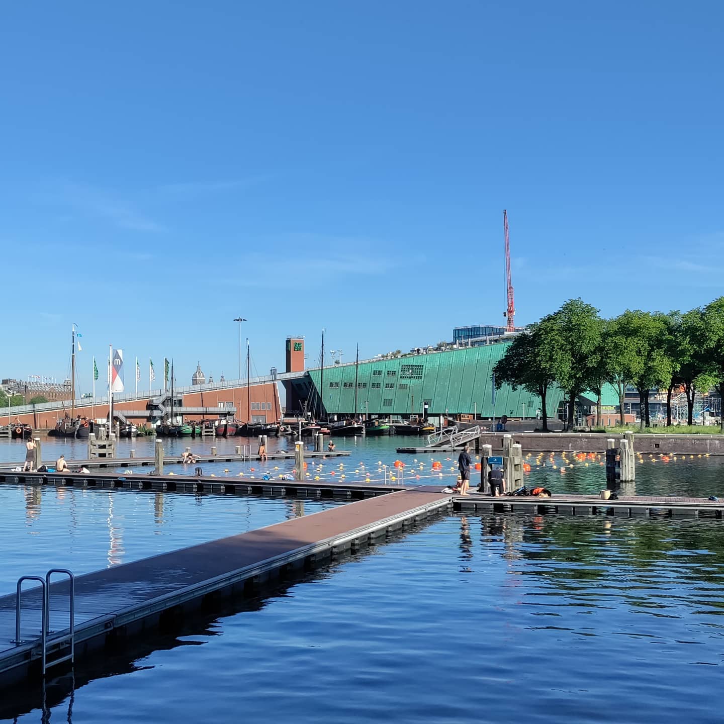 Much more peaceful in the morning. Swimmers not drinkers.