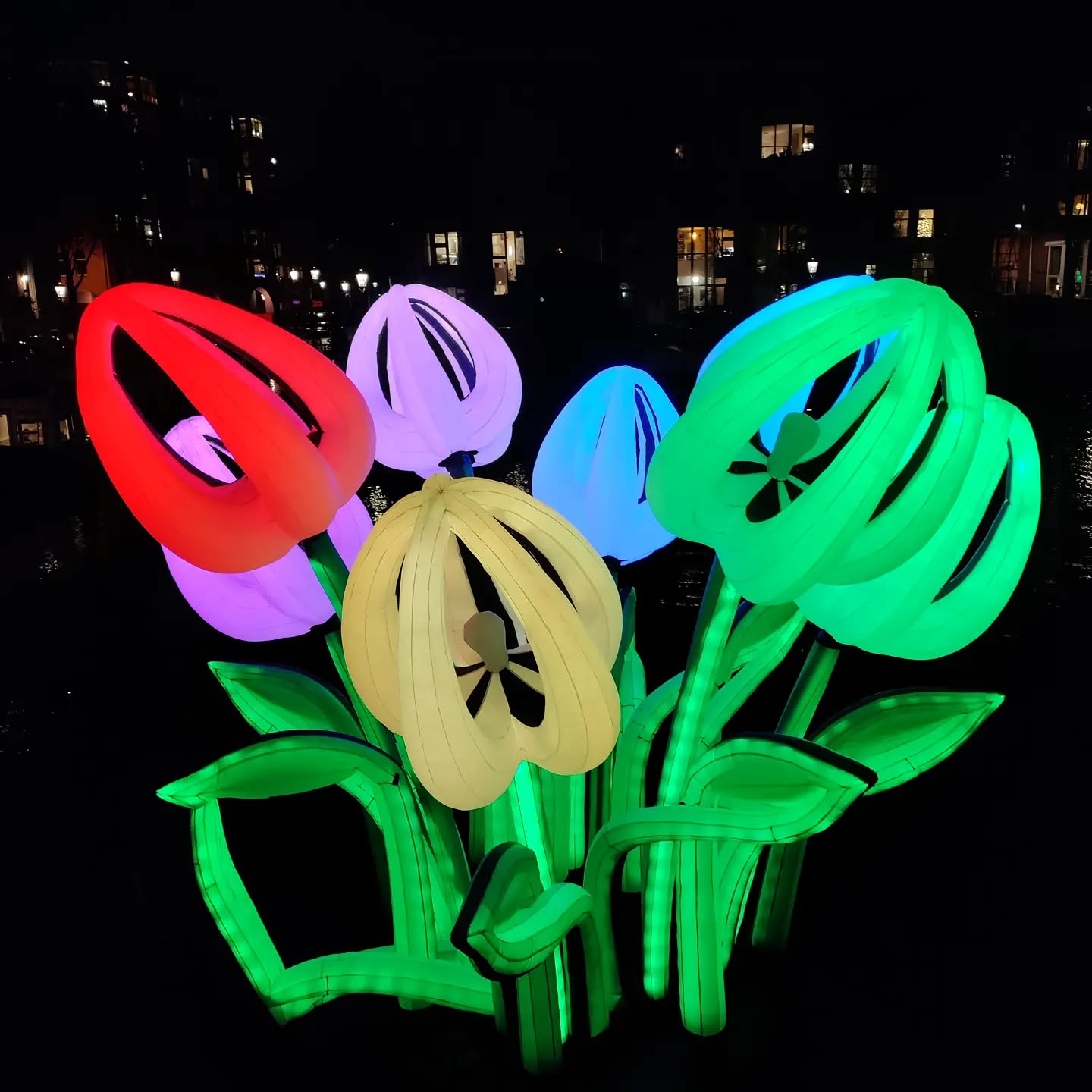 Tulips from Amsterdam #amsterdamlightfestival  #edition10