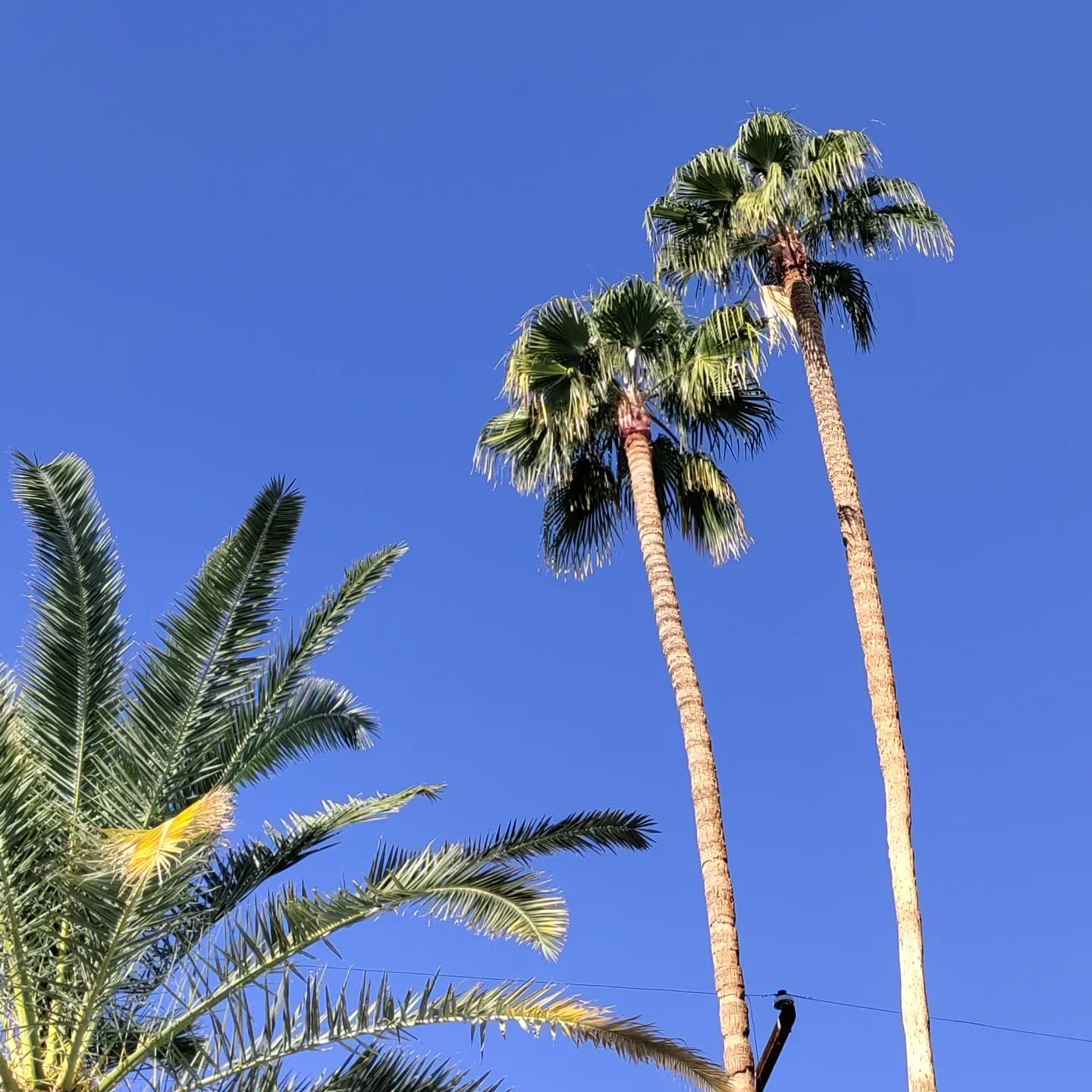 View for a few days by the pool. And relax.