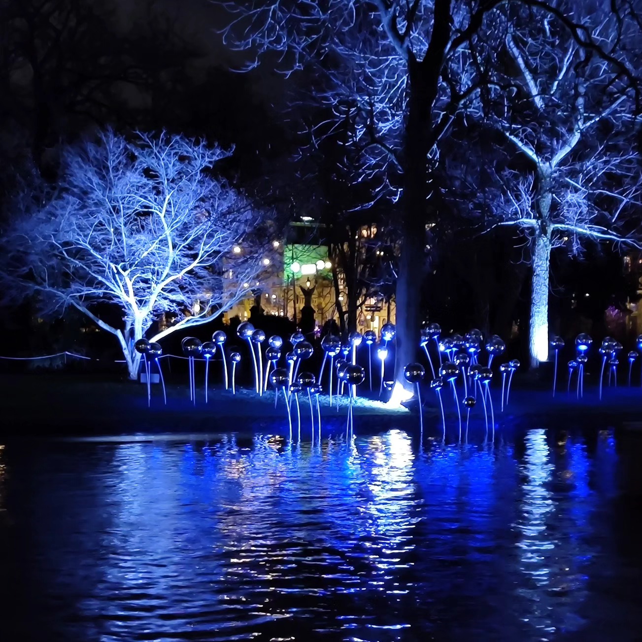 A quick trip to see a fraction of the #amsterdamlightfestival with @eurolambo